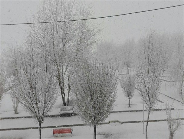 بارش اولین برف زمستانی شهر فارسان را سفیدپوش کرد+تصویر
