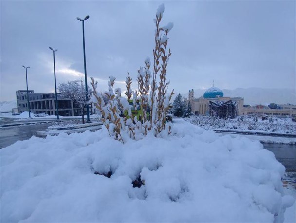 دانشگاه اراک پس از بارش اولین برف زمستانی به روایت تصویر