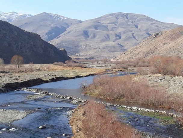 طبیعت زیبای سیلوانا + تصاویر