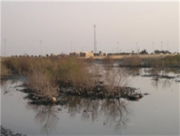 فاجعه زیست محیطی در دیلم