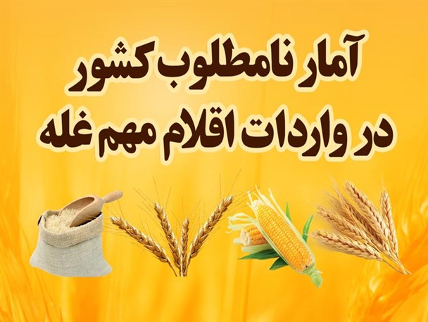 اینفوگرافیک / آمار نامطلوب کشور در واردات اقلام مهم غله