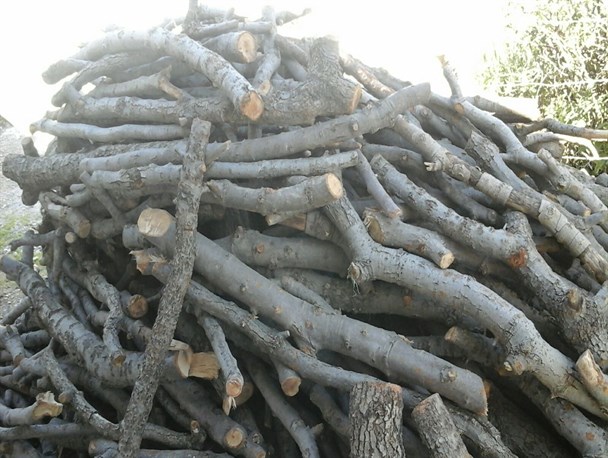 بیش از 2 تن چوب قاچاق در باشت کشف و ضبط شد+تصاویر