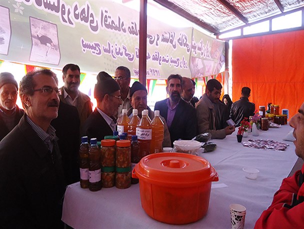 افتتاح نمایشگاه دستاوردهای اقتصاد مقاومتی و مشاغل خانگی راور/تصاویر