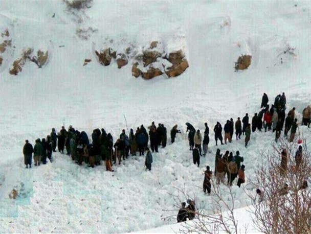 خشک شدن تدبیر دولتی‌ها در رسیدگی به معیشت کولبران