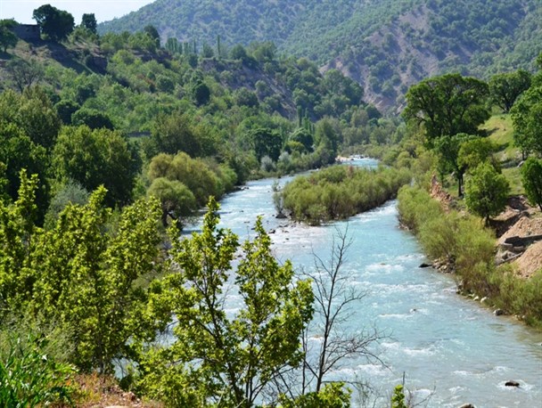 "بشار" در آستانه ورشکستگی محیط زیستی