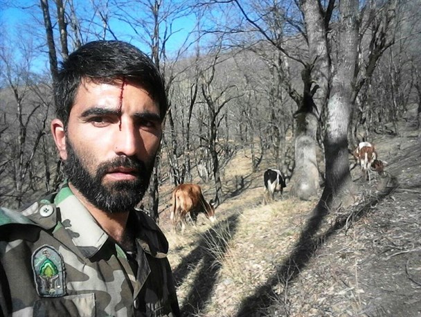 ضرب و شتم جنگلبان نمونه کشور در گالیکش + تصاویر