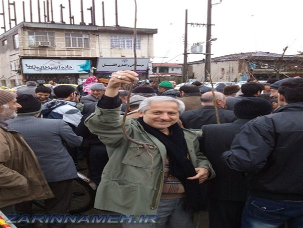توزیع نهال میان نمازگزاران علی آبادکتول+تصاویر