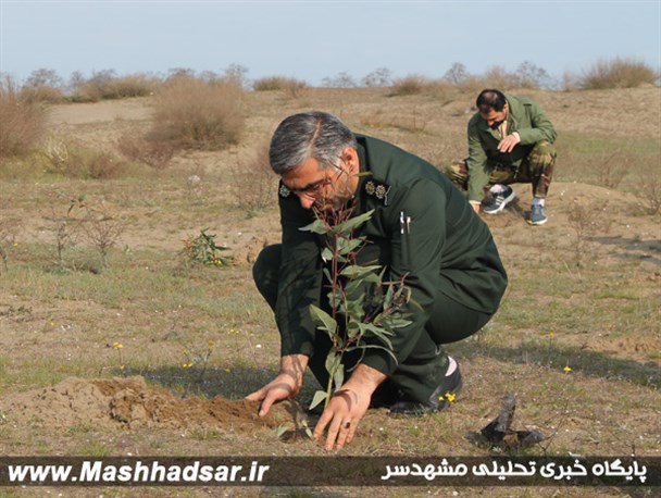 غرس 5 هزار اصله نهال توسط پاسداران سپاه بابلسر /تصاویر