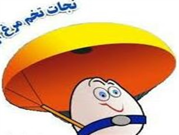 اولین دوره مسابقات نجات تخم مرغ در بین دانش آموزان برگزارشد+تصویر
