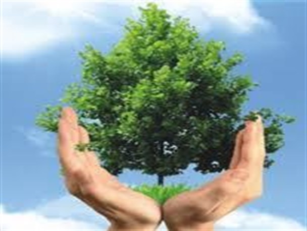 ۵۸۰۰ اصله نهال درسرپلذهاب توزیع شد