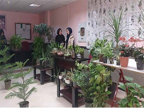نمایشگاه گل ها و گیاهان زینتی در رزن برگزار شد