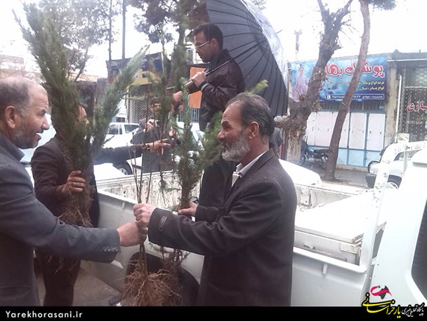 هزار اصله نهال رایگان در خلیل آباد توزیع شد