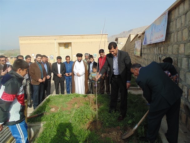 کاشت 10 هزار اصله نهال در سیروان