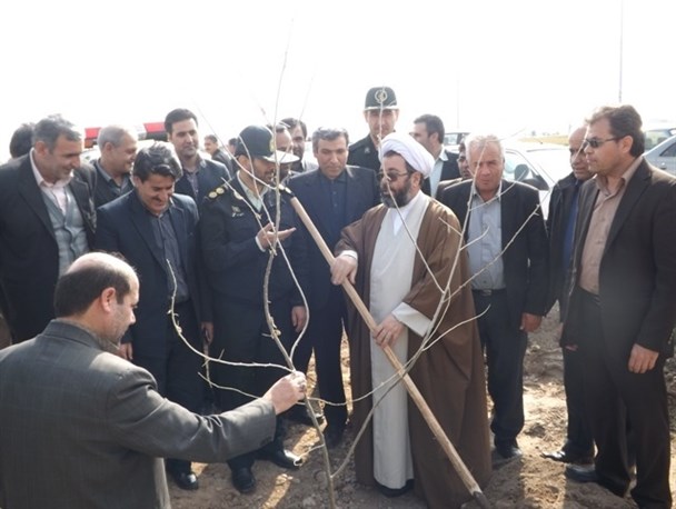 مراسم روز درختکاری در ملکان برگزار شد