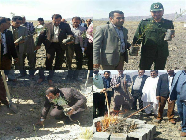 نهال ها کاشت شدند و تبرهاسوخته شدند
