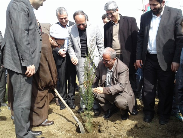 گزارش تصویری از روز درختکاری در شهر رودسر