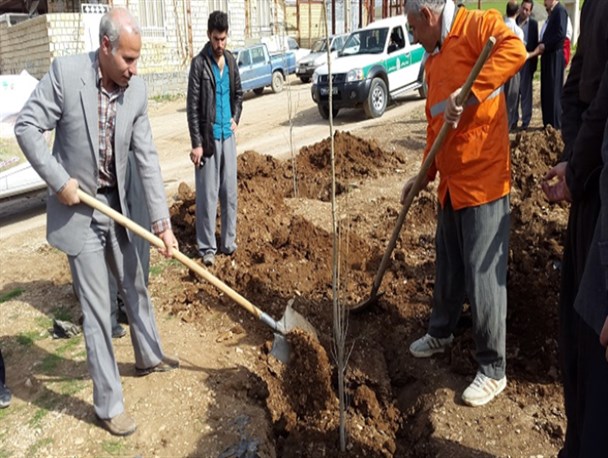 مراسم روز درختکاری در ثلاث باباجانی برگزار شد