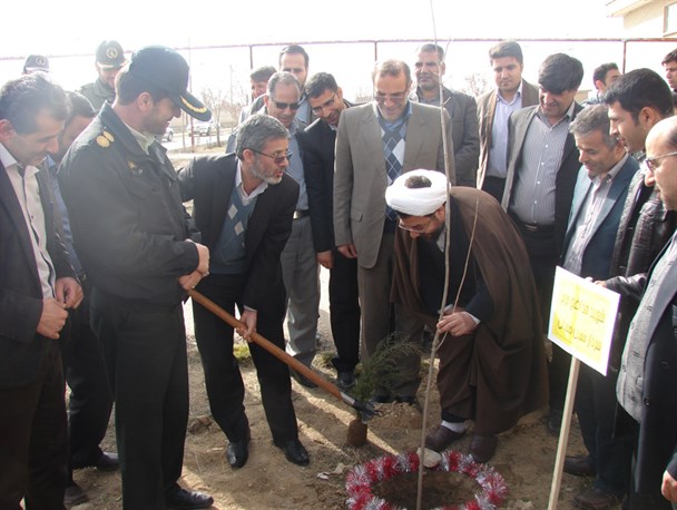 کاشت 7 هزار اصله نهال در کبودراهنگ