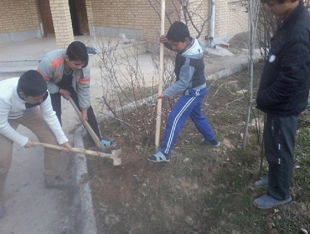 کاشت نهال در محل کتابخانه عمومی روستای زوارم