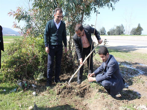 ۴۰۰ اصله نهال توسط بیماران بهبود یافته غرس شد /تصاویر