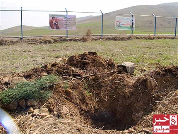 گزارش تصویری از غرس نهال در نقده