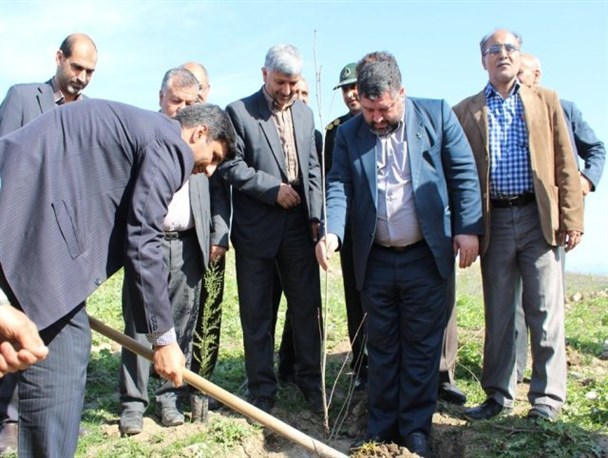 غرس نهال توسط مسئولین شهرستان آزادشهر + تصاویر