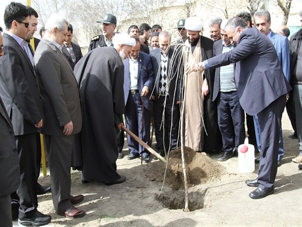 11 اصله نهال به نام شهدای همدان غرس شد