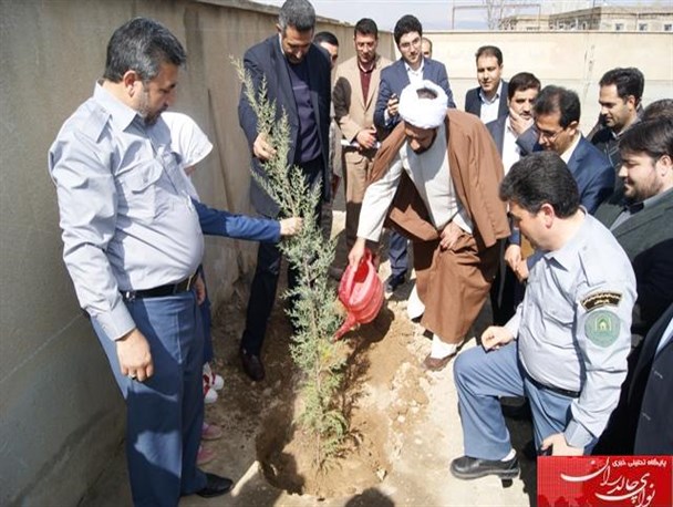 غرس نهال به مناسبت روز درختکاری در چالدران+ تصاویر