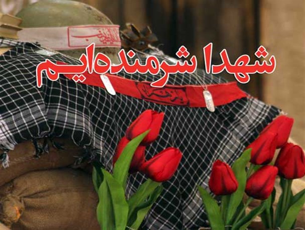 عقب‌نشینی شورای اسلامی شهر و شهرداری در مقابل خواست مردم/ شاید نوشدارو بعد از مرگ سهراب