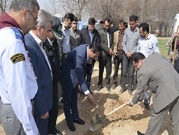 آغاز هفته درختکاری در پاسارگاد +تصاویر