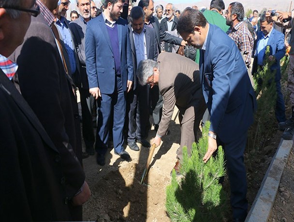 گزارش تصویری/ کشت نهال به مناسبت روز درختکاری