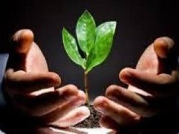 ۳۰۹ نهال، یادبود شهدای خوانسار کاشته می شود