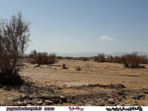 دو طرح منابع طبیعی بشرویه با حضور مدیرکل به بهره برداری رسید