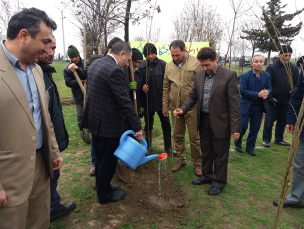 کاشت نهال بمناسبت هفته منابع طبیعی در اصلاندوز+عکس