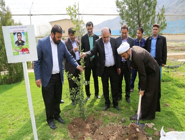 کاشت 10 هزار نهال در هفته درختکاری