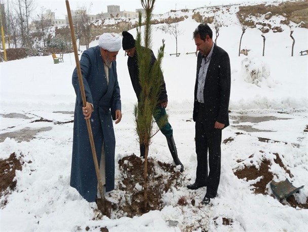 کاشت 50هزار نهال در سرعین+عکس