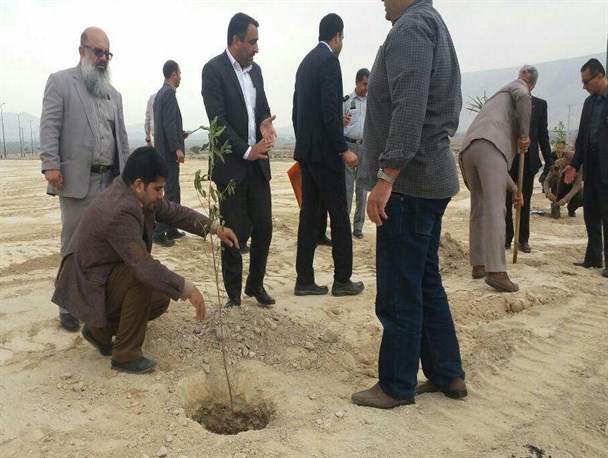 جنگل کاری 65 هکتار توسط  سازمان های مردم نهاد در بستک/ 2000 اصله نهال در هفته منابع طبیعی کاشته می شود