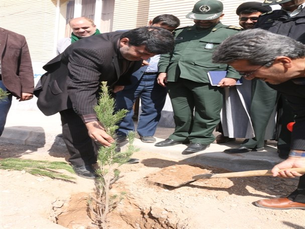 توزیع ۱۳۰۰۰ اصله نهال در بجستان/ نگهدار مهم‌تر از کاشت نهال