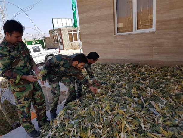 کشف بیش از 5 تن کمای غیرمجاز در زیرکوه