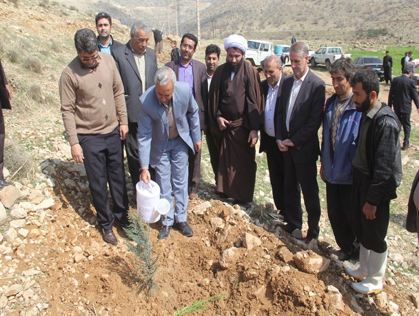 غرس ۲ هزار اصله نهال در روستای پاک "پاطاق" / درختکاری نقش مهمی در سالم سازی هوای جامعه دارد