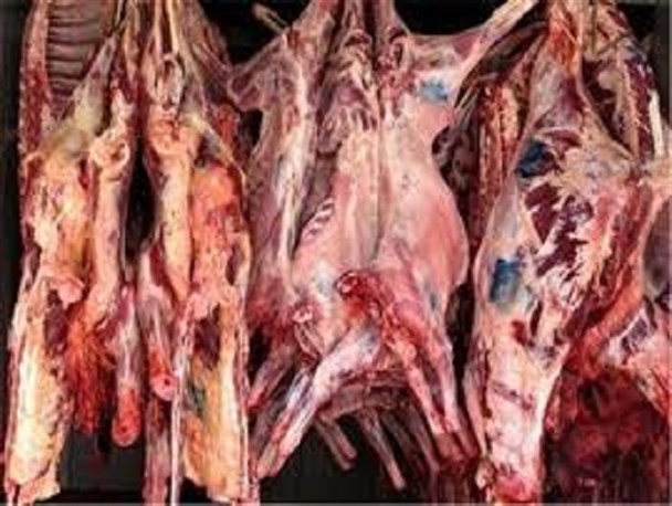 عرضه 21400 تن گوشت قرمز به بازار مصرف در سال گذشته