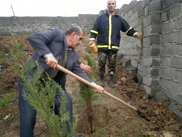 جشن درختکاری در روستای دعوی لات البرز املش برگزار شد