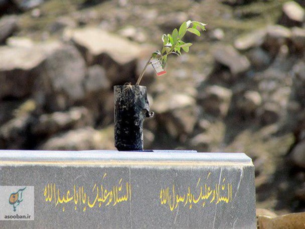 کاشت 12 هزار نهال در کوهدشت