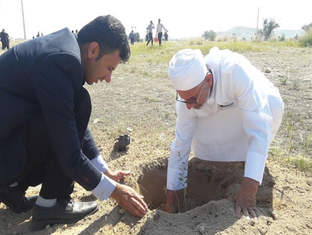 همت بستکی ها در هفته درختکاری/ تصویر