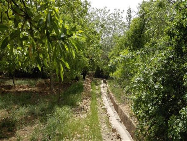 جاذبه های دیدنی روستای چنار ناز خاتم به روایت تصویر