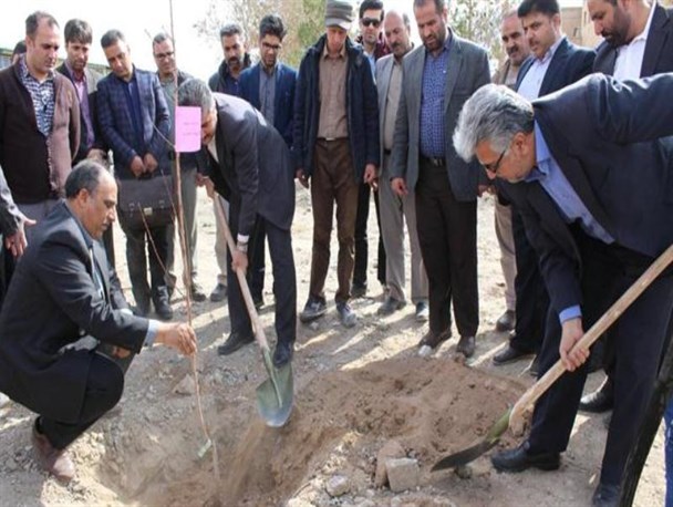 900 نهال مثمر در مجموعه دبیرستان شهید با هنرمیامی غرس شد