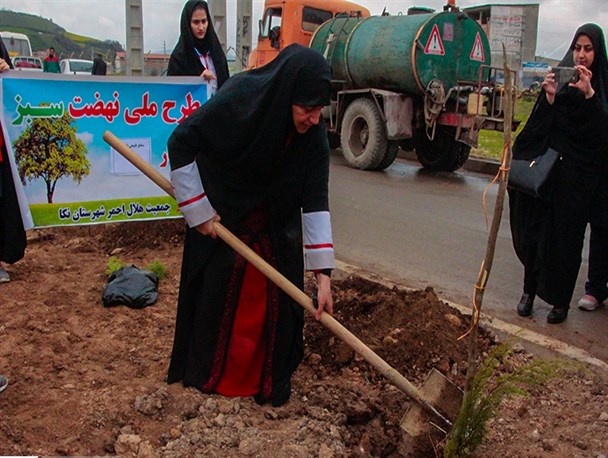کاشت نهال در مسکن مهر شهرستان نکا به مناسبت روز درختکاری