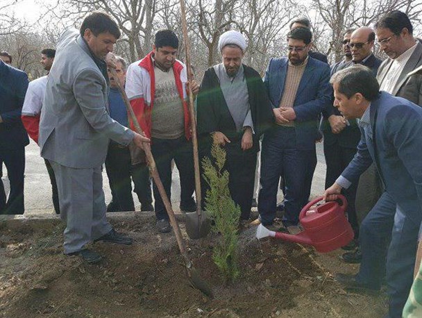 ۱۸ هزار اصله نهال در تویسرکان توزیع و کاشت می شود
