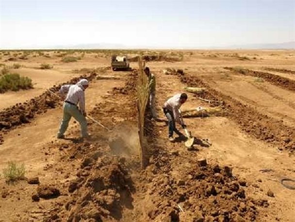 4 هزار هکتار عملیات بیابان زدایی در البرز انجام شد/ تحقق نیمی از اعتبارات سفر دولت به البرز