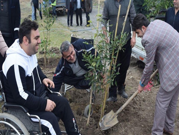 کاشت نهال به مناسبت روز درختکاری در فریدونکنار